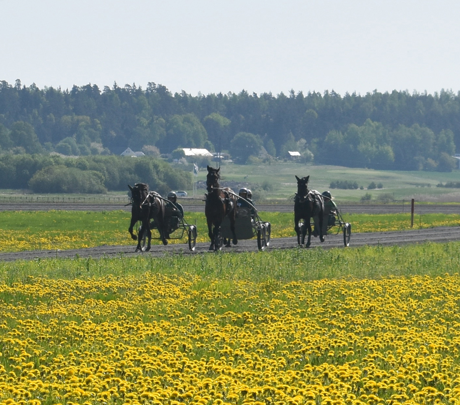 Rundbanan maj-2018-4